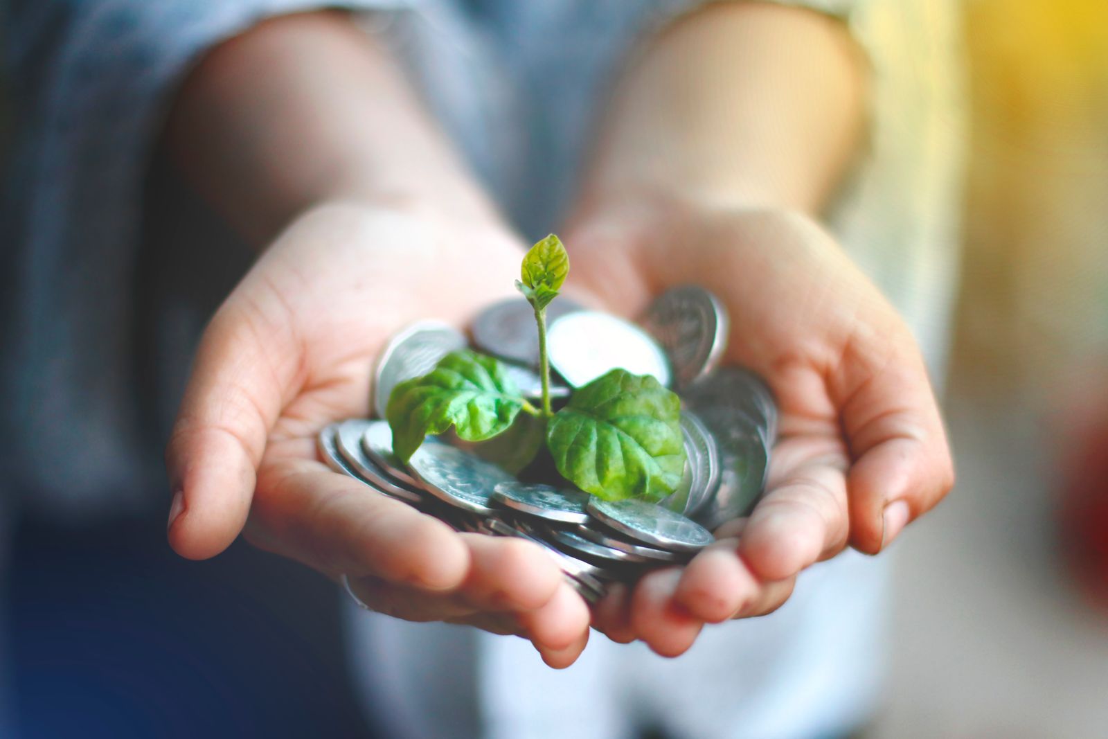Growth and funding for social projects